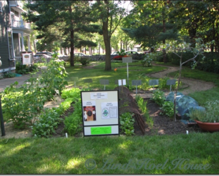 Organic Garden Display
